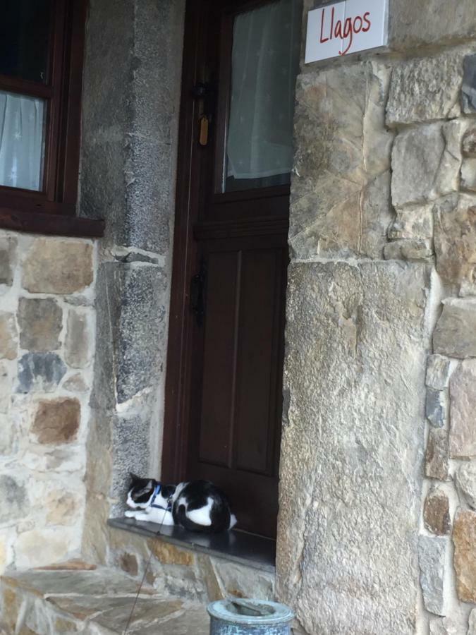 La Xamoca Apartamentos Rurales Campiellos المظهر الخارجي الصورة